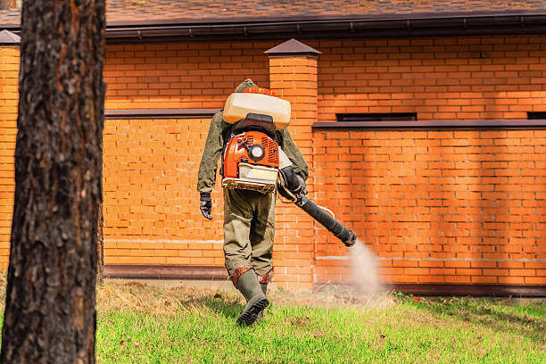 Top rated local Mosquito Control specialists in Salt Creek Commons, IN